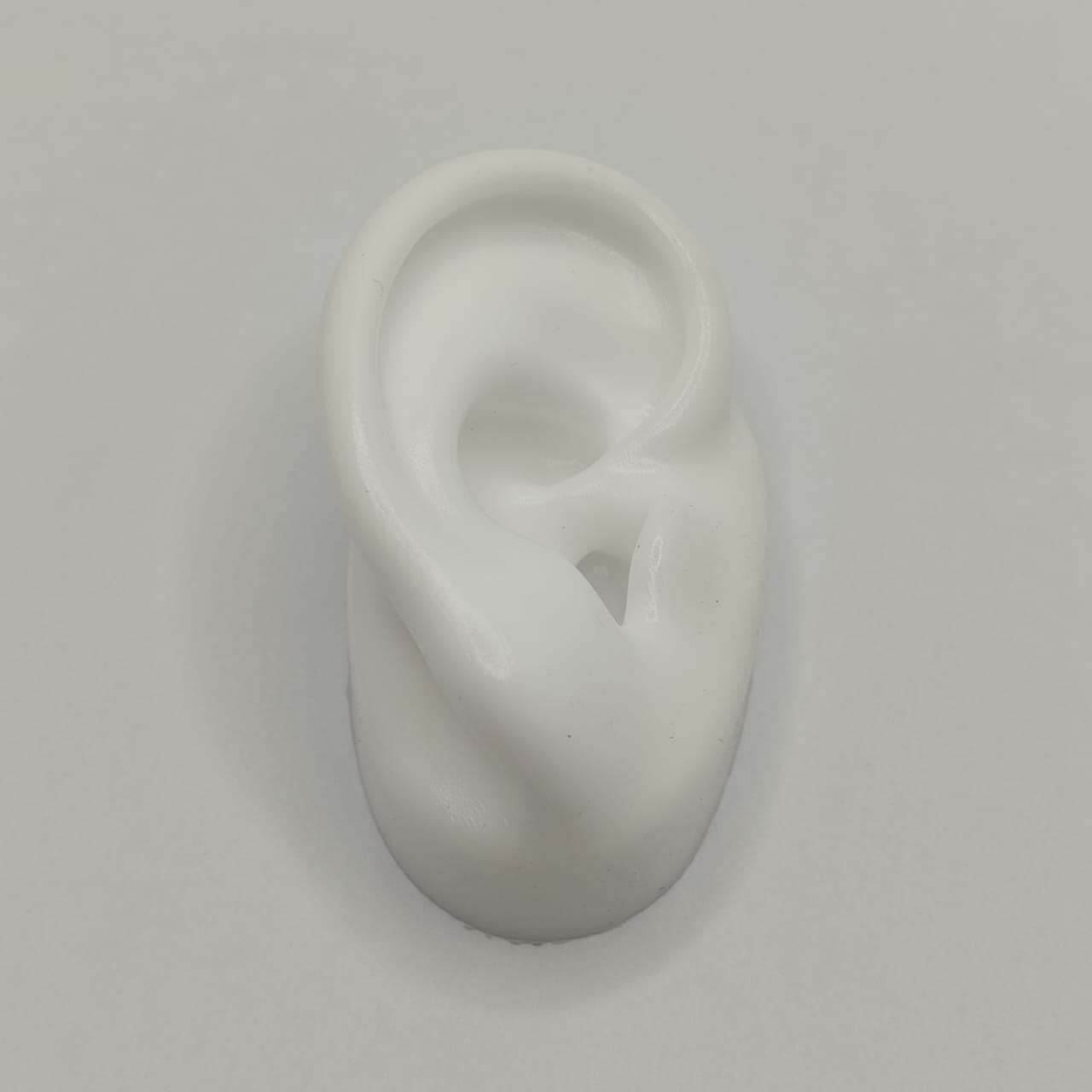 OREJA DE SILICON BLANCA