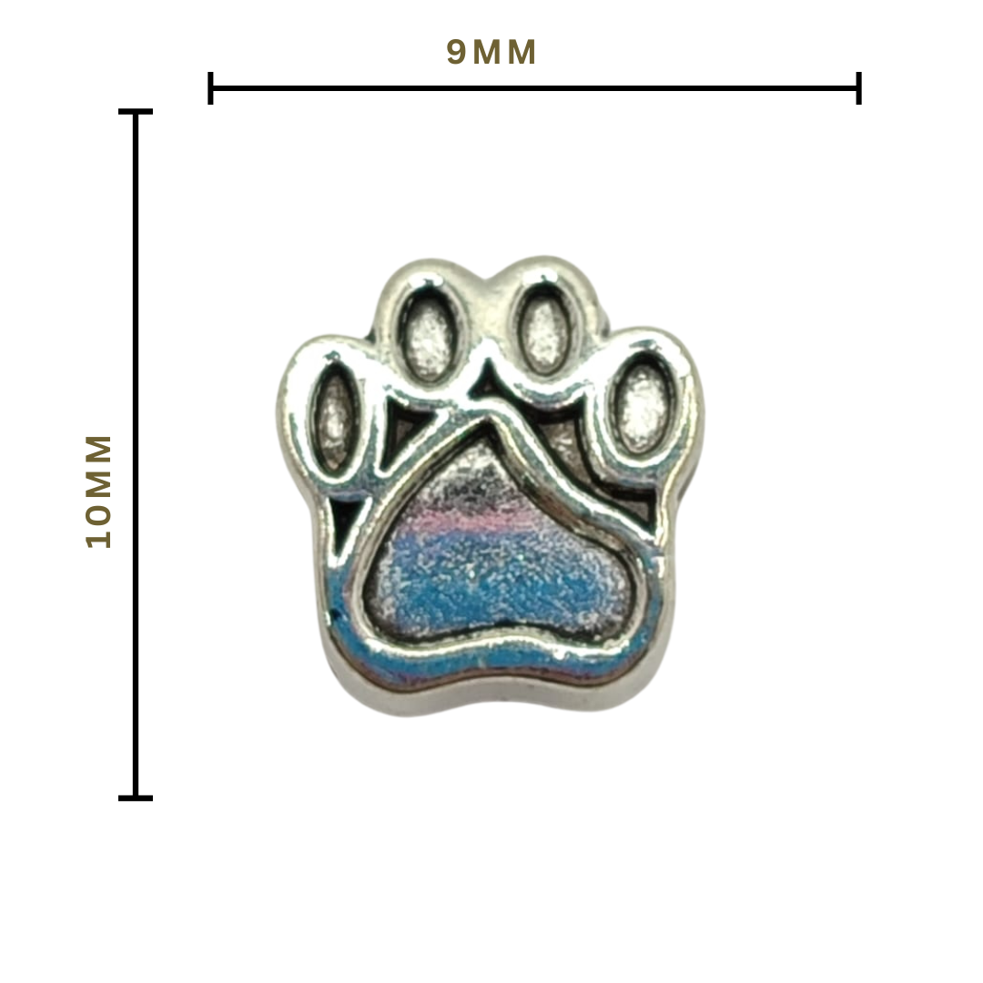 SILVER PASADOR PATICA DE CACHORRO 3