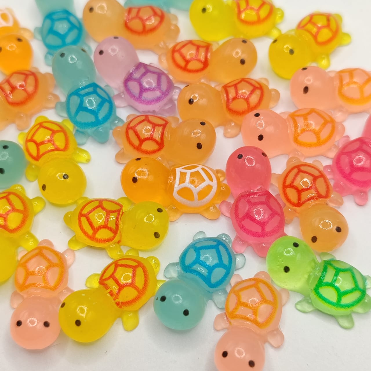 BOLOSA 4UND TORTUGAS QUE ALUMBRAN