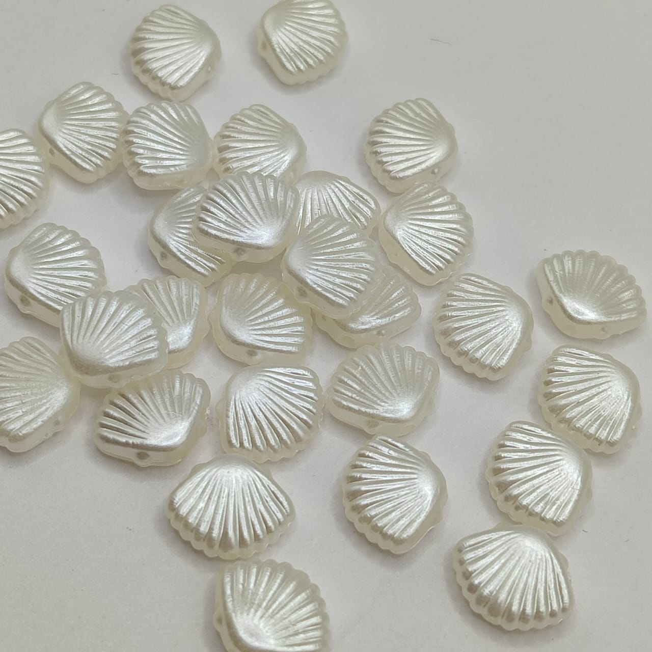 PAQUETE CONCHA DE MAR BLANCA PEQ (10 GRAMOS)
