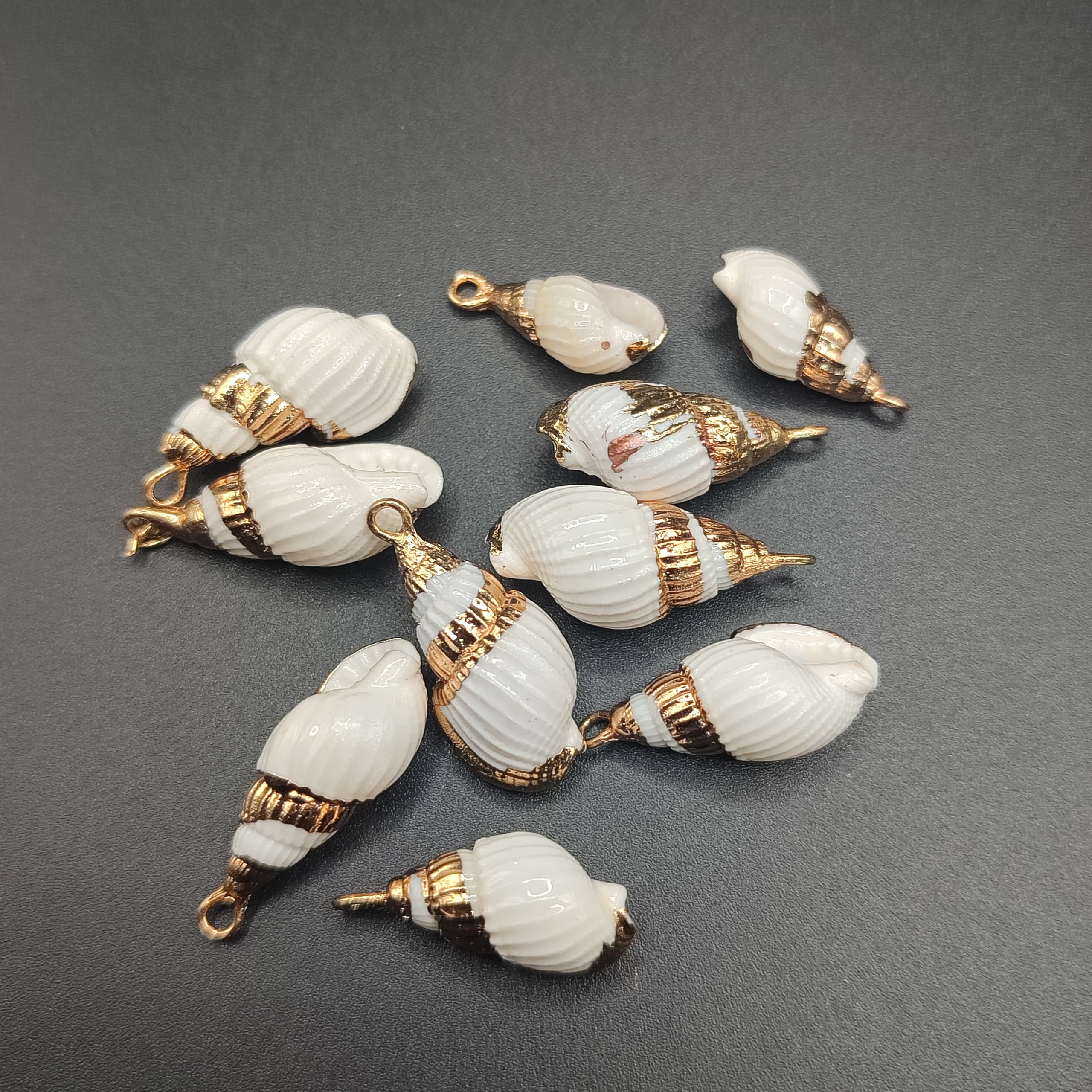 DIJE CARACOL DE MAR CON DORADO