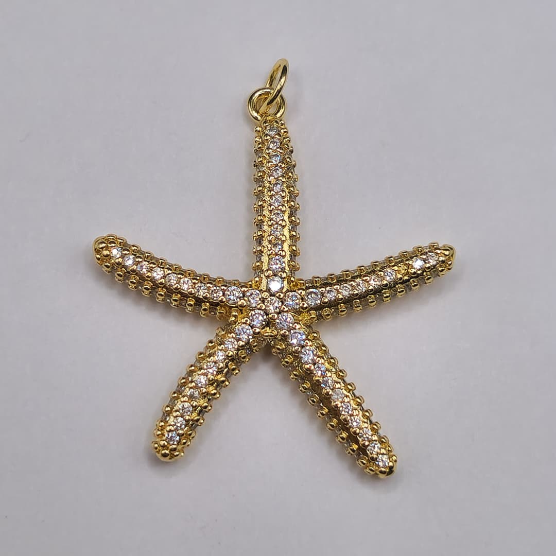 CIRCON DIJE ESTRELLA DE MAR MEDIANA