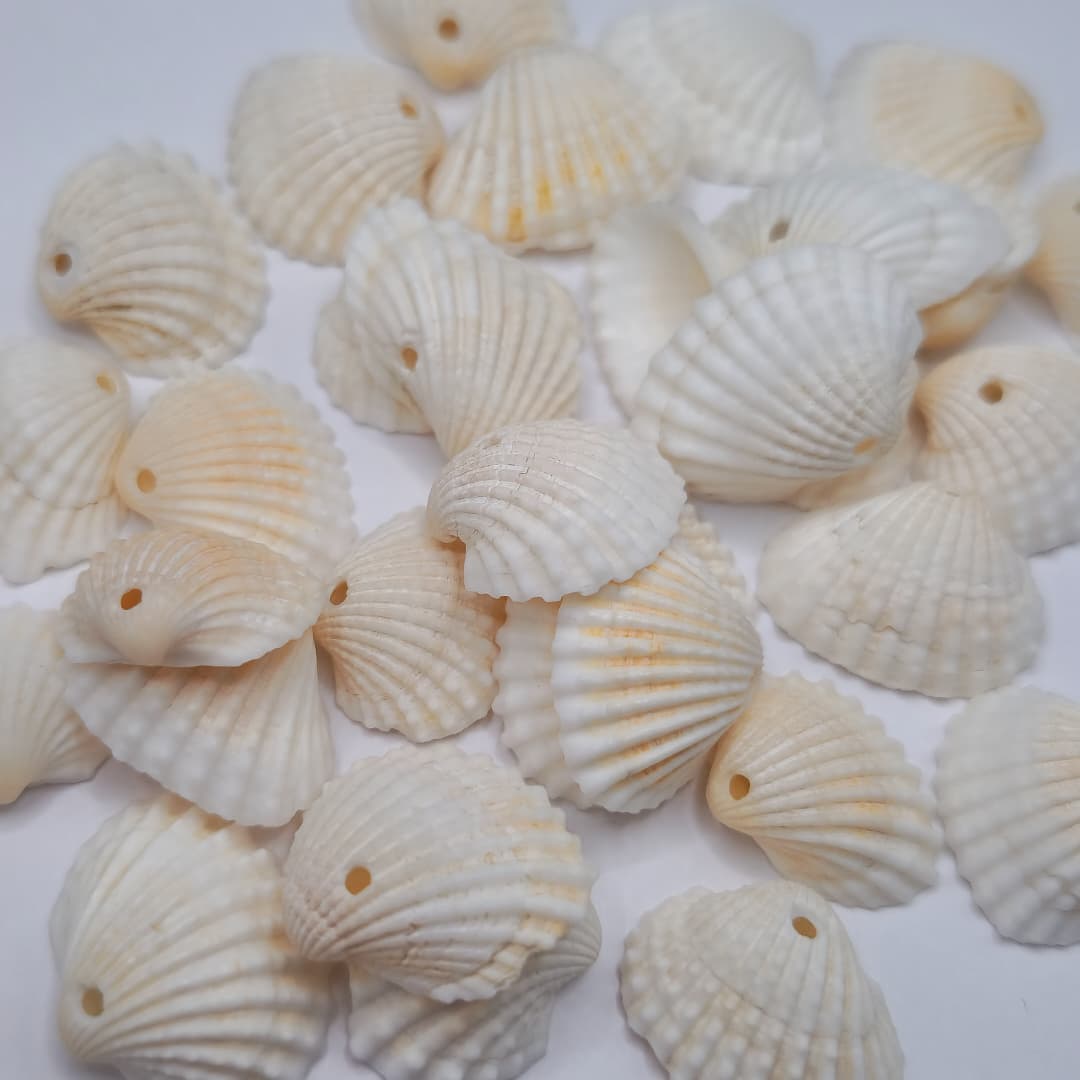 BOLSA 10 UND OSTRAS MARINAS