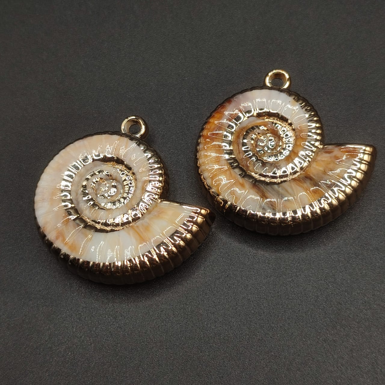 PAQUETE DE CARACOL EN ESPIRAL