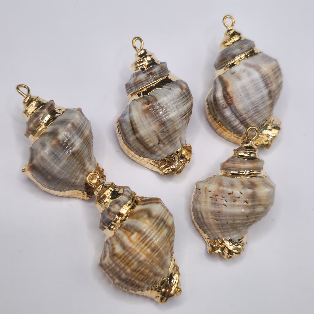 PAQUETE DE CARACOL