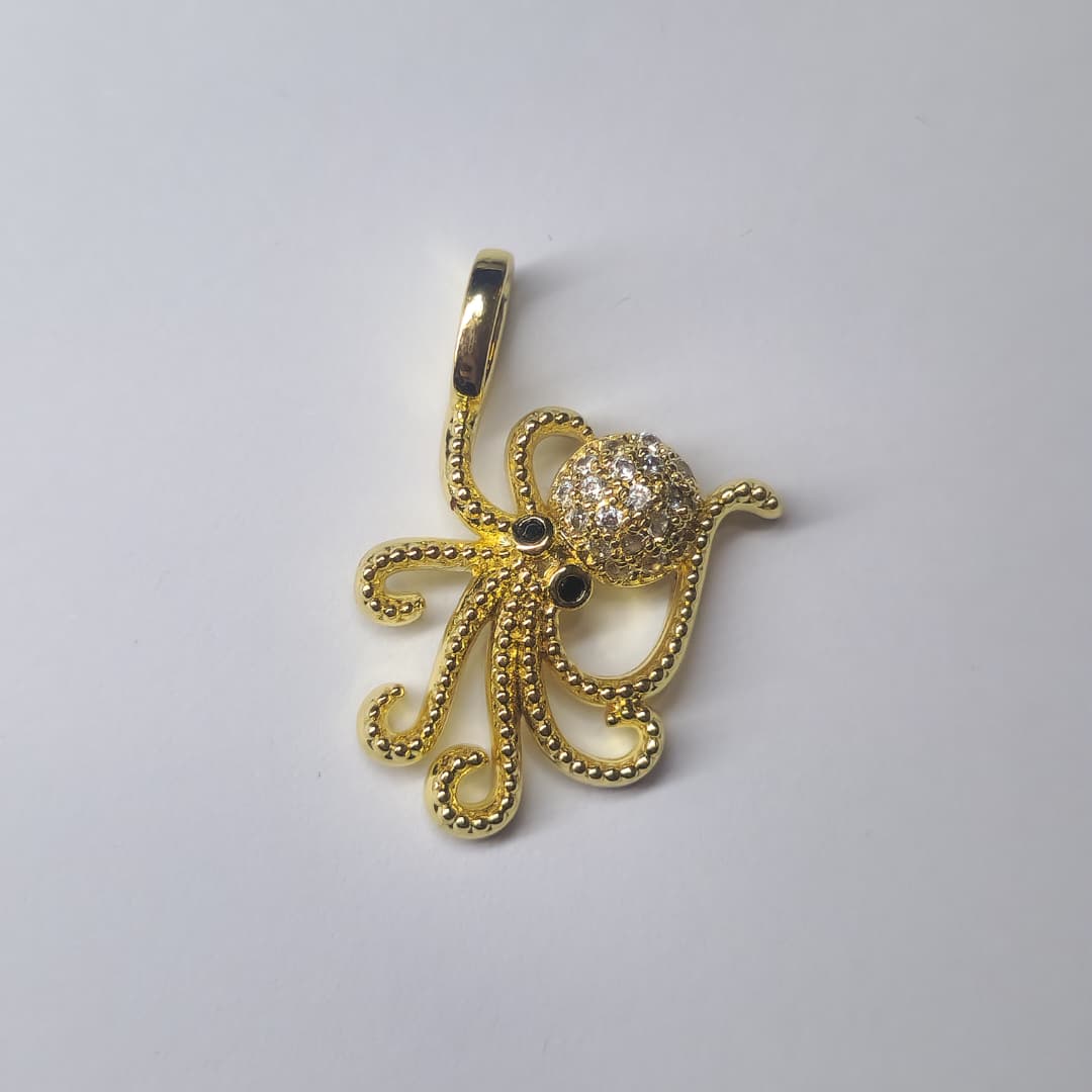 CIRCON DIJE PULPO