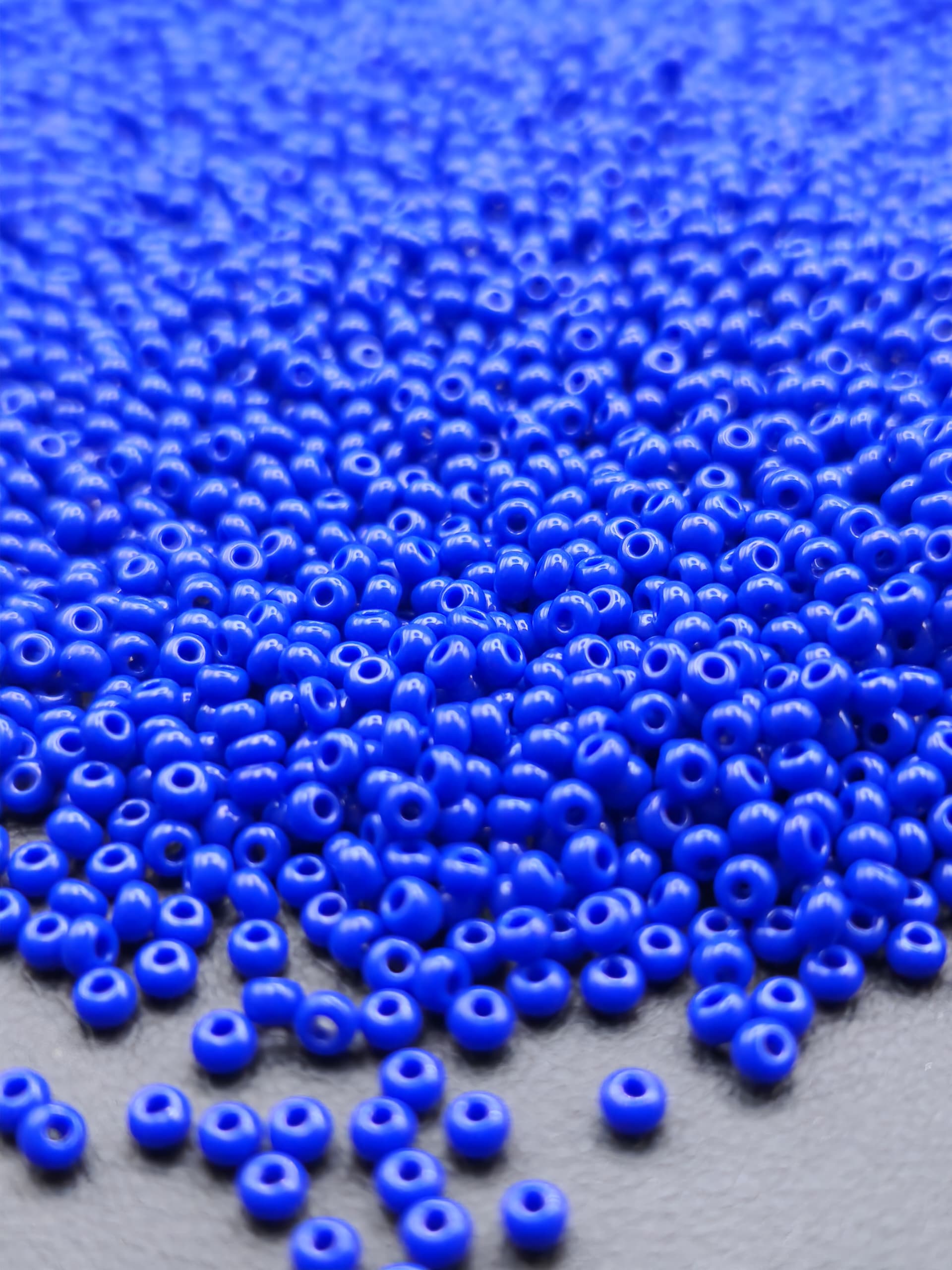 MOSTACILLA JAPONESA AZUL REY 2
