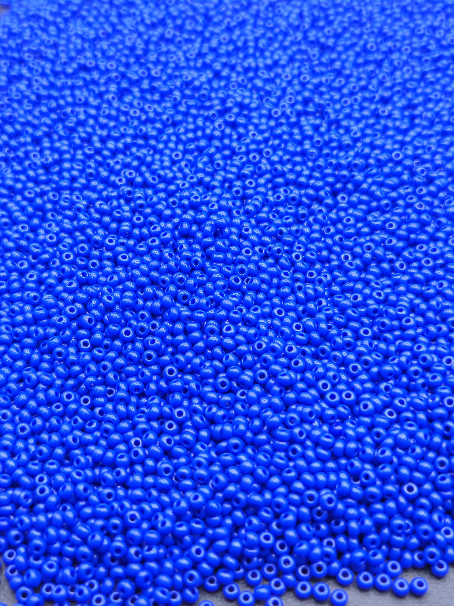 MOSTACILLA JAPONESA AZUL REY 3