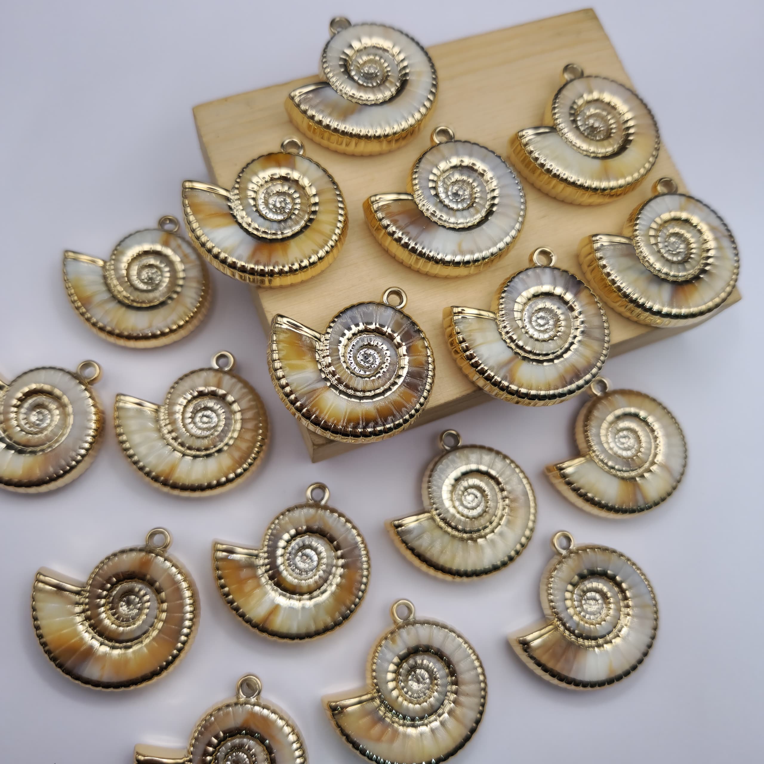 BOLSA 2 UND CARACOL EN ESPIRAL